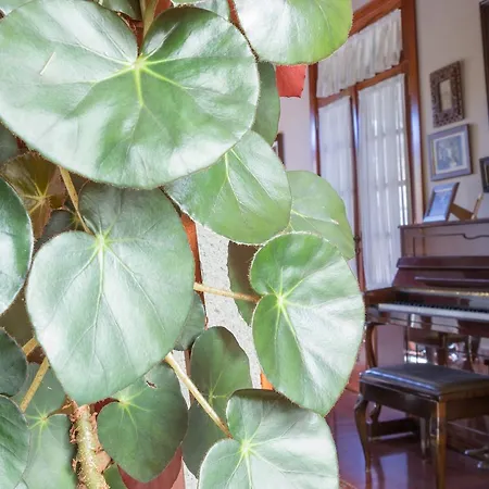 乡村民宿 多纳玛格丽塔乡村旅馆